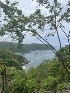 image_67520769