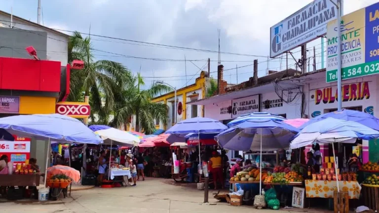mercado poch 5