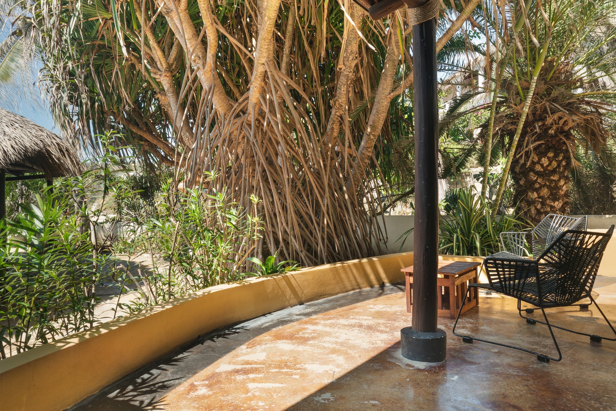 Gartenterrasse unter Palmen