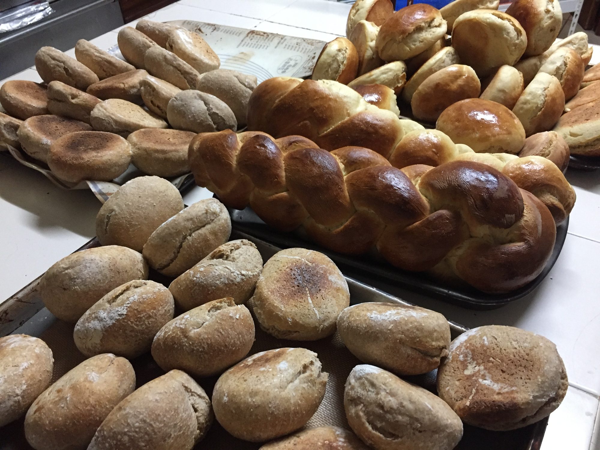 Pains maison frais et une brioche tressée de notre cuisine