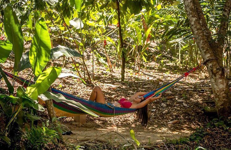 Détente dans un hamac au jardin