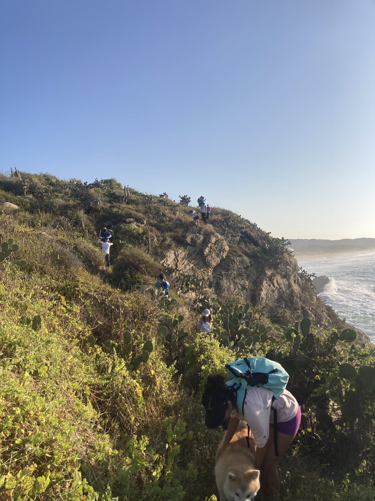 Randonnée sur une colline verdoyante au-dessus de la mer