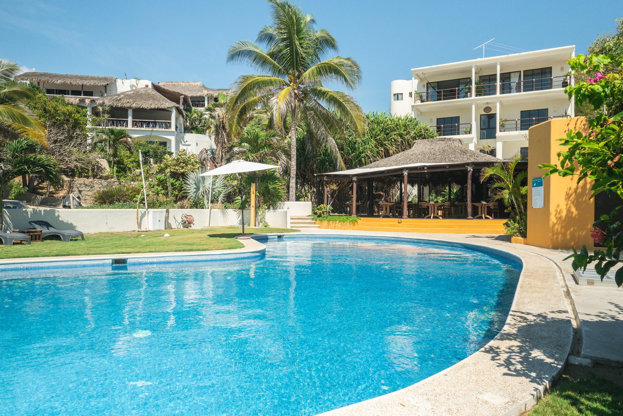 The hotel pool surrounded by palms
