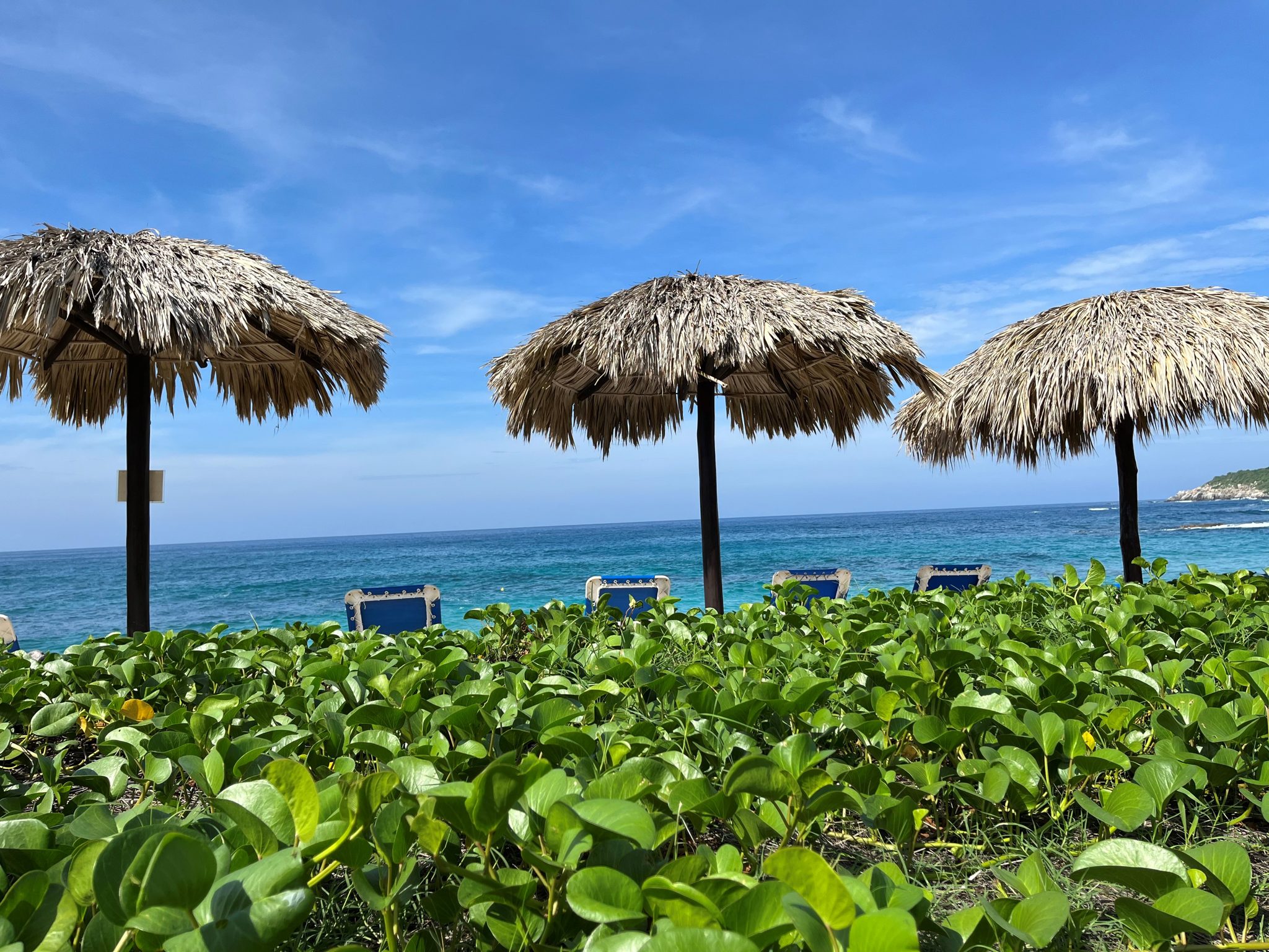 Palapas et transats sur la plage