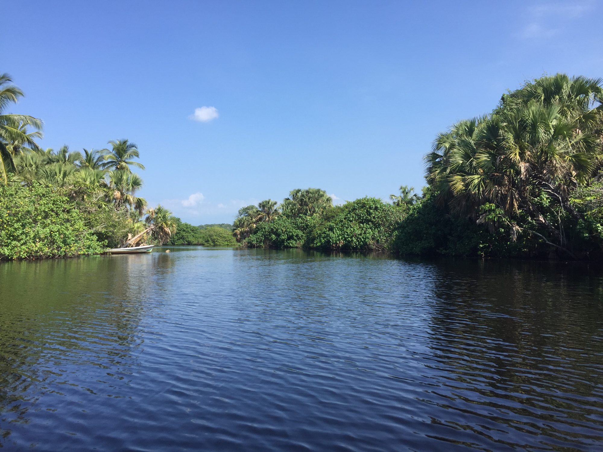 La lagune bordée de palmiers sous un ciel bleu