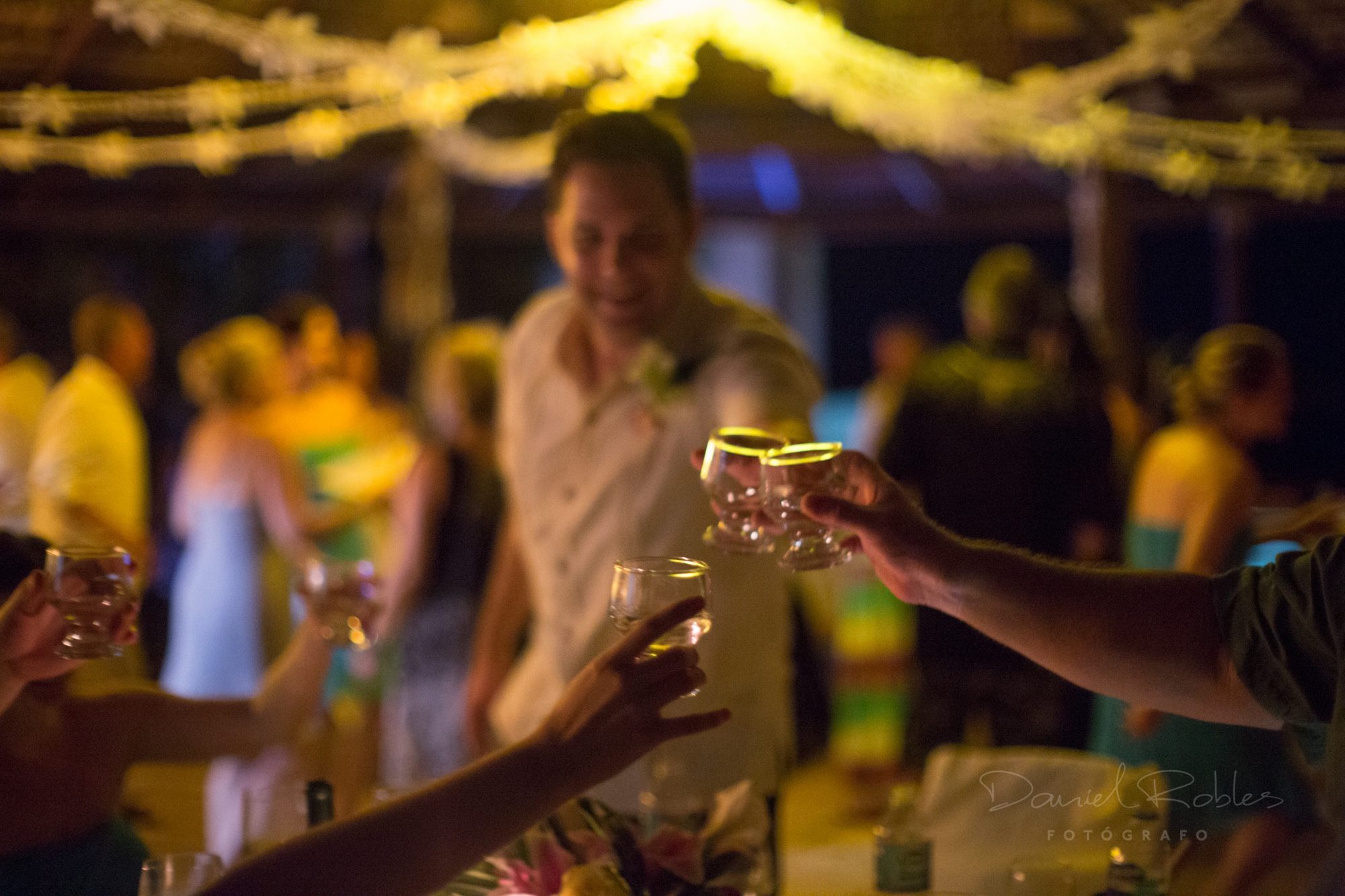 Raising a toast at the reception